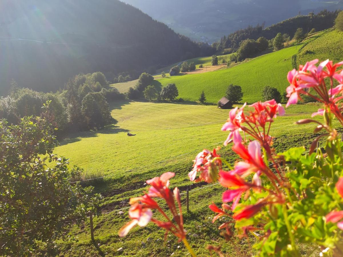 Villa Schirfhof Michaelerberg Esterno foto